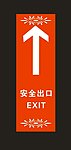 安全出口