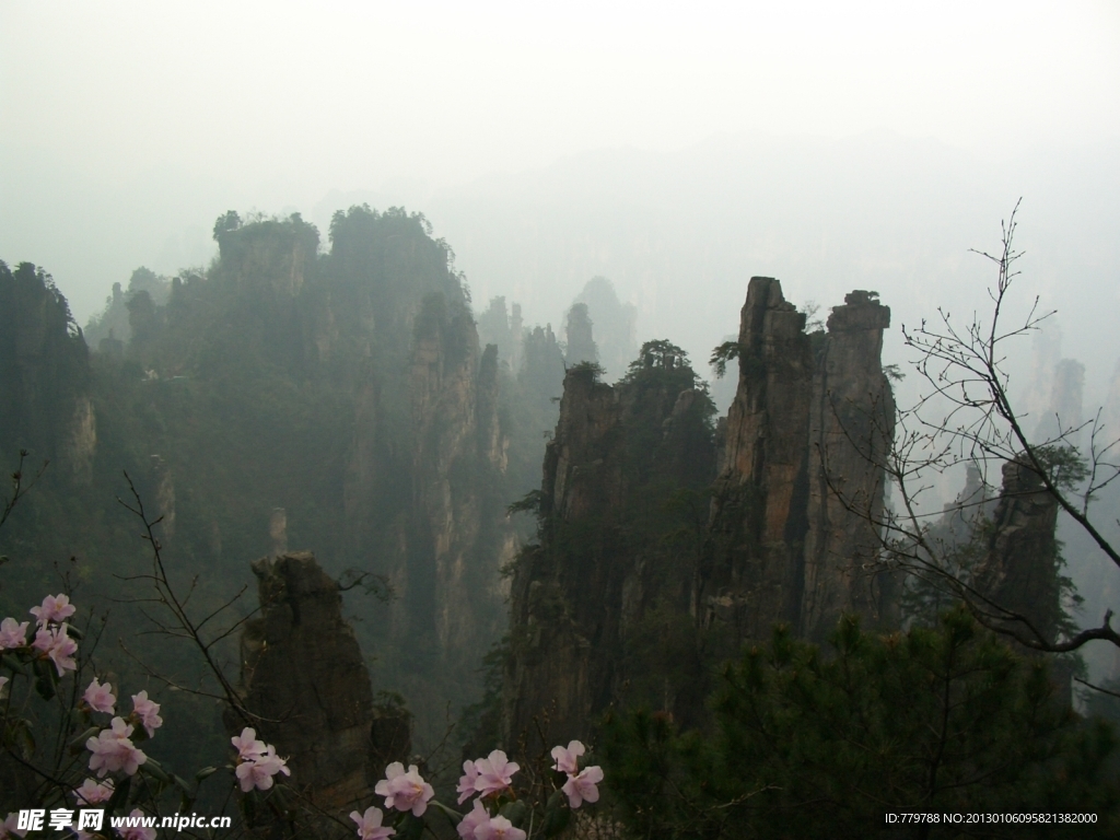 山与桃花