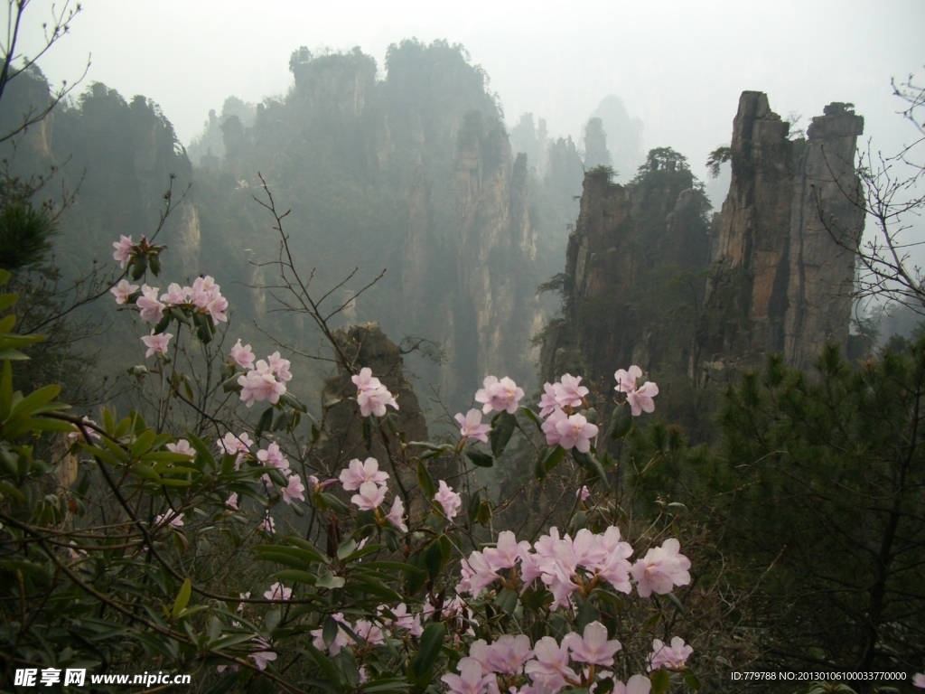 花和山