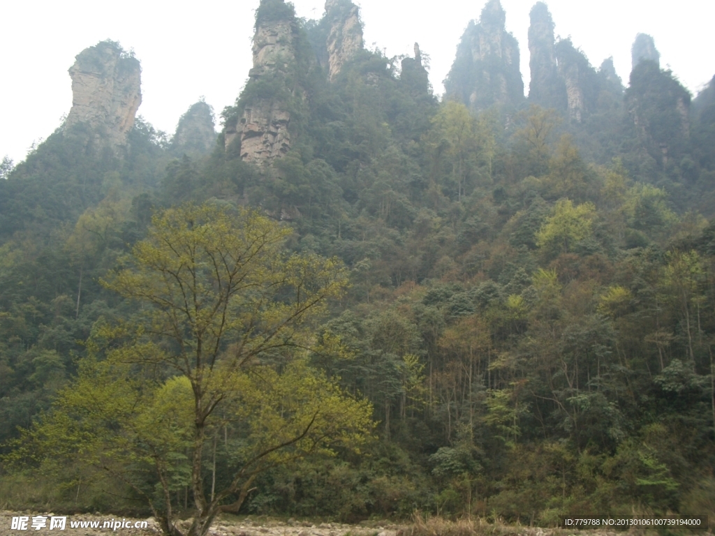 奇峰绿树