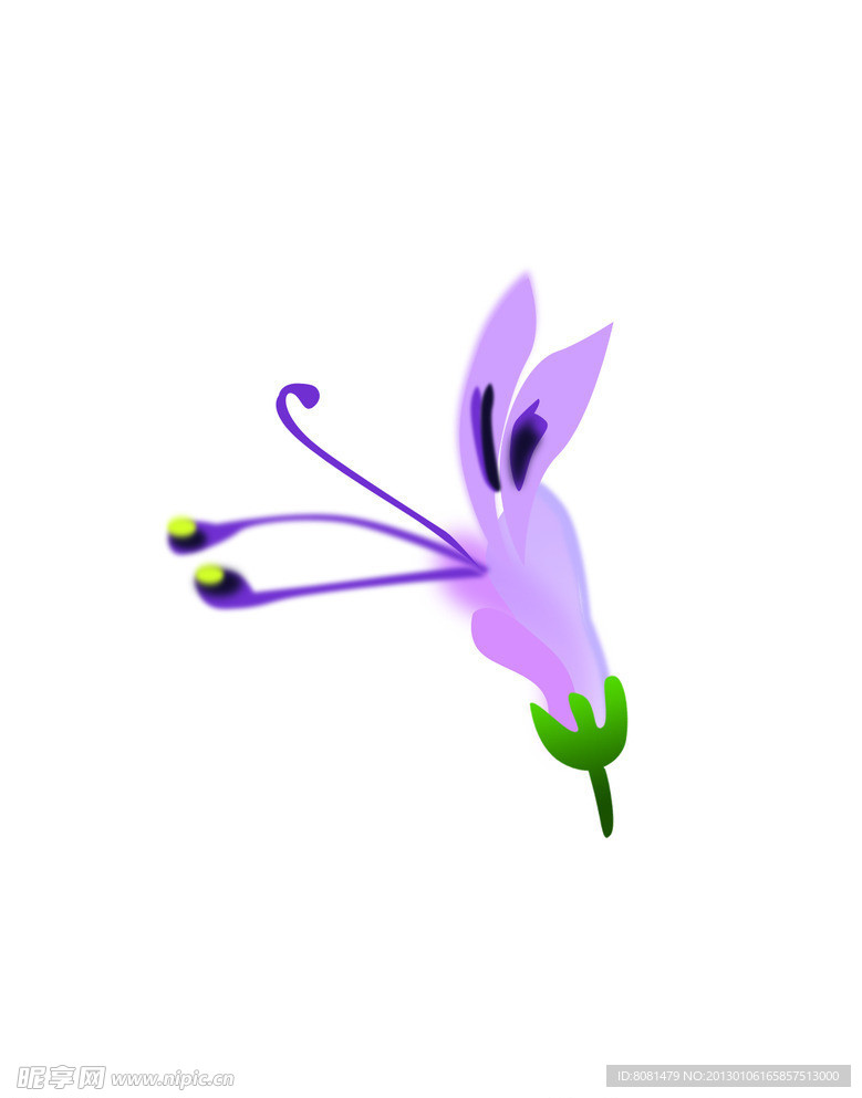 穿心莲花