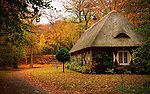 林中小屋