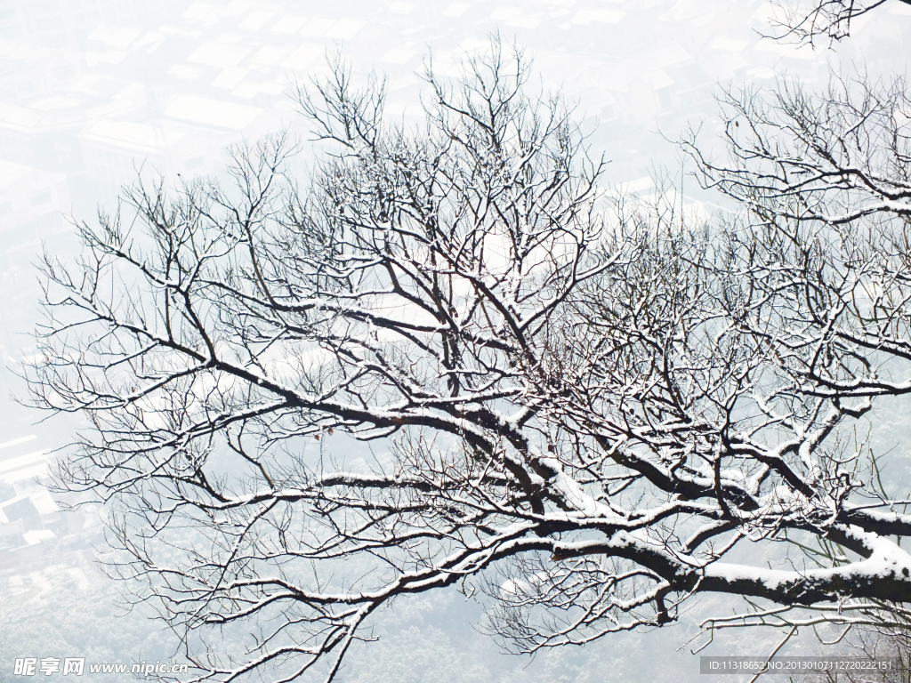 雪景