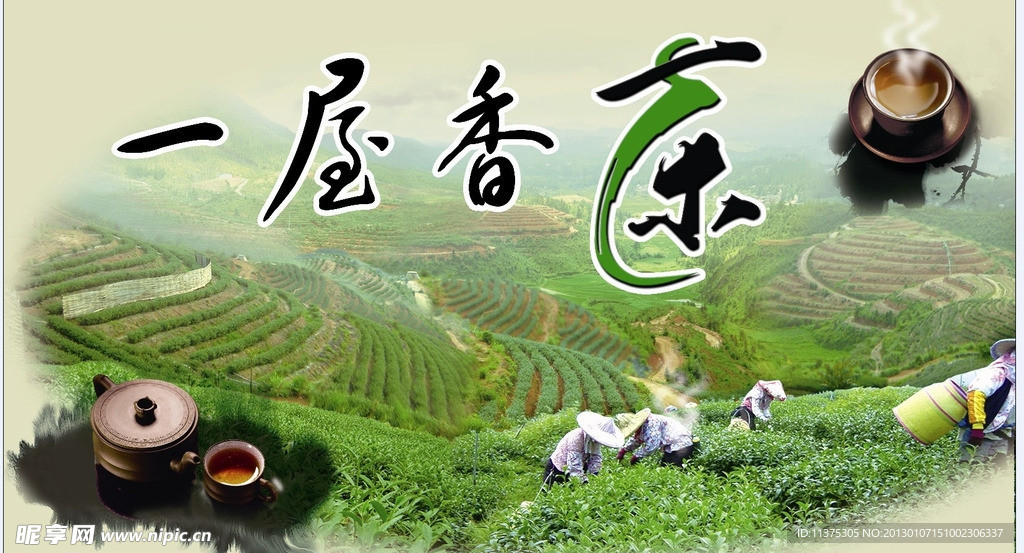 一屋香茶