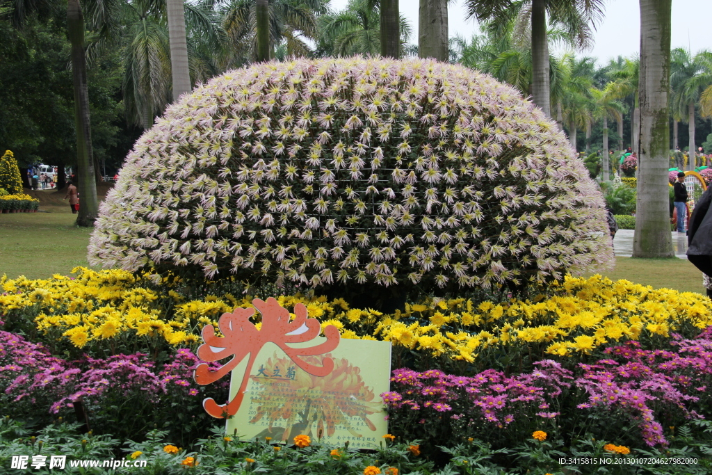 花草树木
