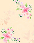 美丽花朵