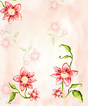 美丽花朵