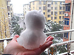迷你小雪狗