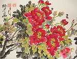 牡丹
