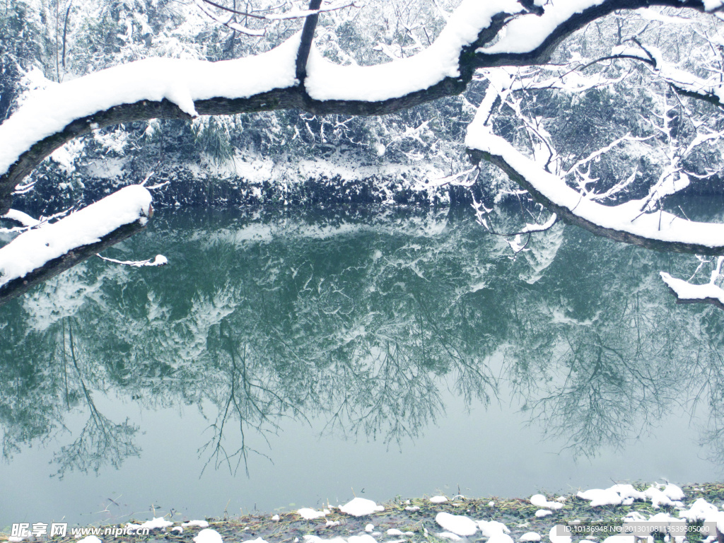 雪景