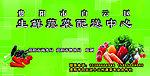 绿色蔬菜配送中心
