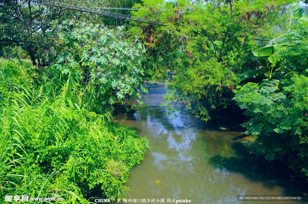 山水梅州 山村小溪