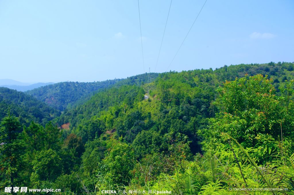 山水风景 林中村道