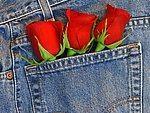 玫瑰花和牛仔裤