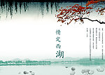 西湖杨柳
