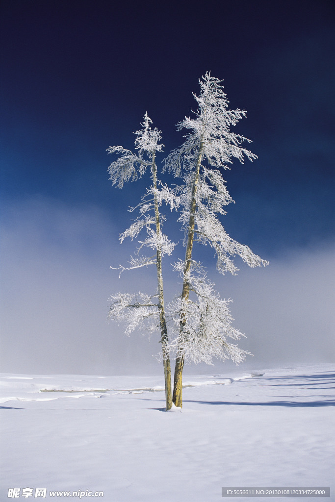 雪景