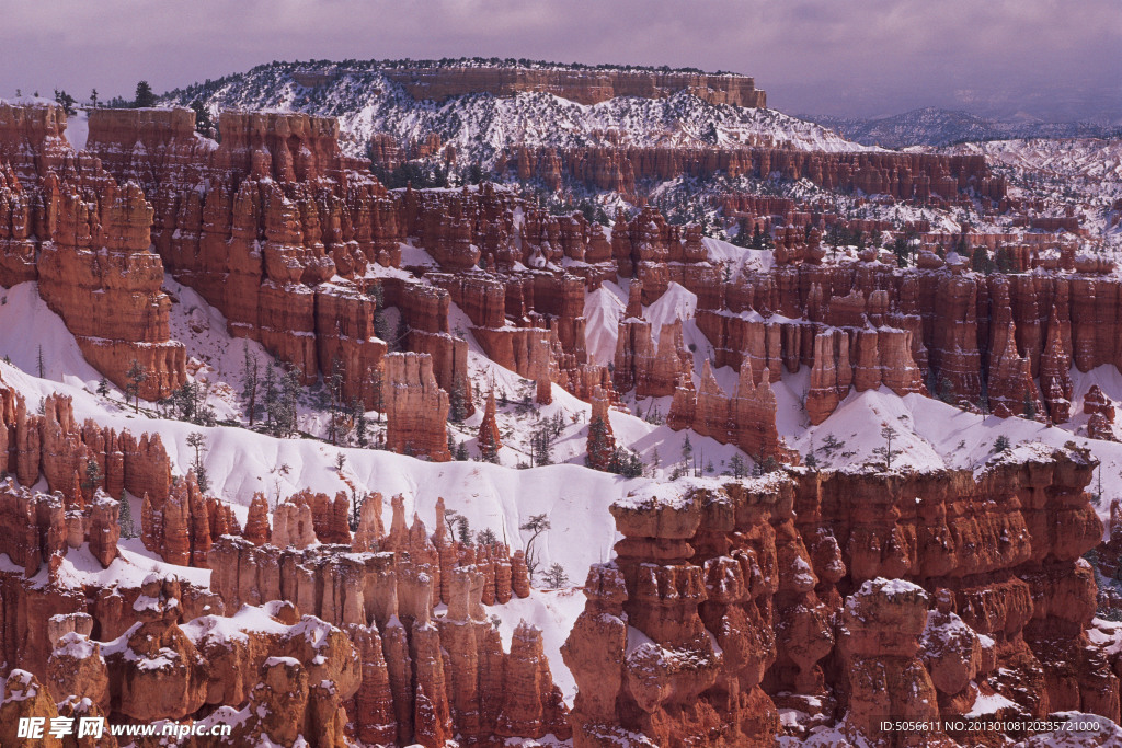 雪景