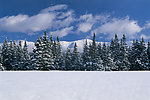 雪景