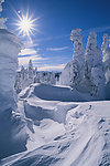 雪景