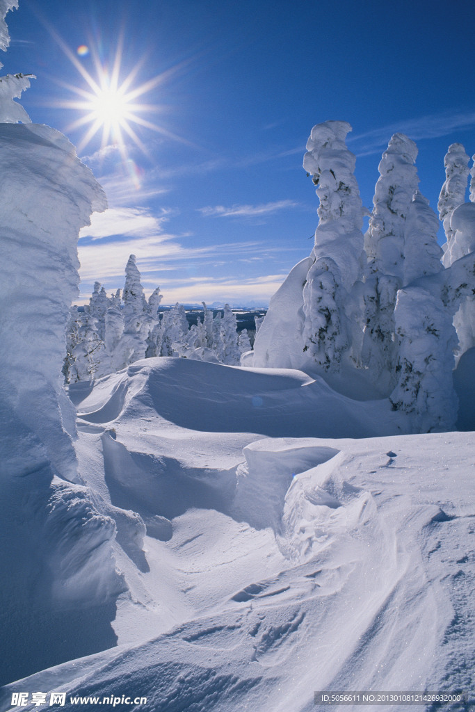 雪景