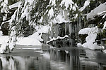 雪景