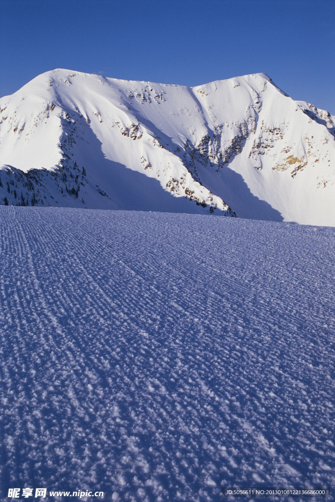 雪景