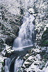 雪景