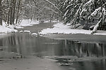 雪景