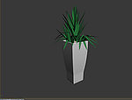 植物模型