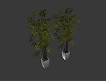 植物模型
