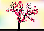樱花树 桃花树