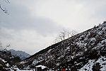 泗沟小雪