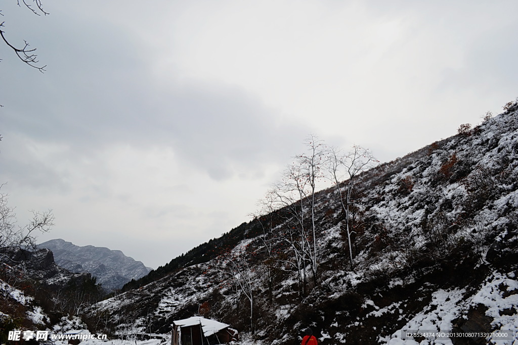 泗沟小雪