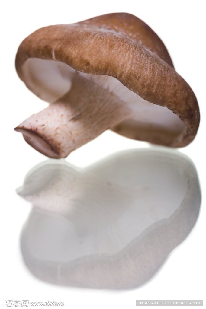香菇
