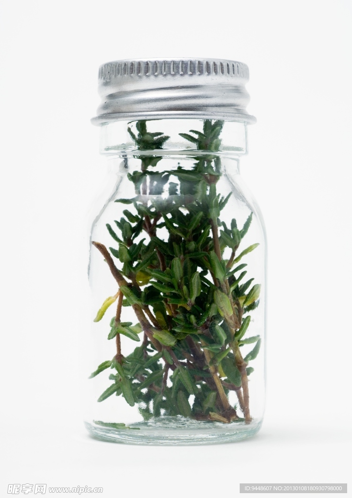 绿色干草植物