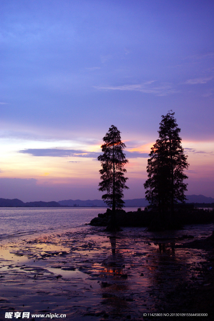 夕阳相伴
