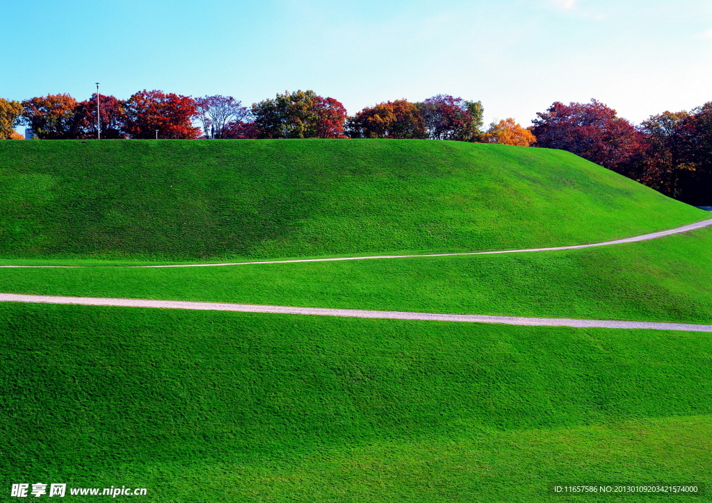 山坡风景