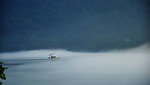 水墨小东江