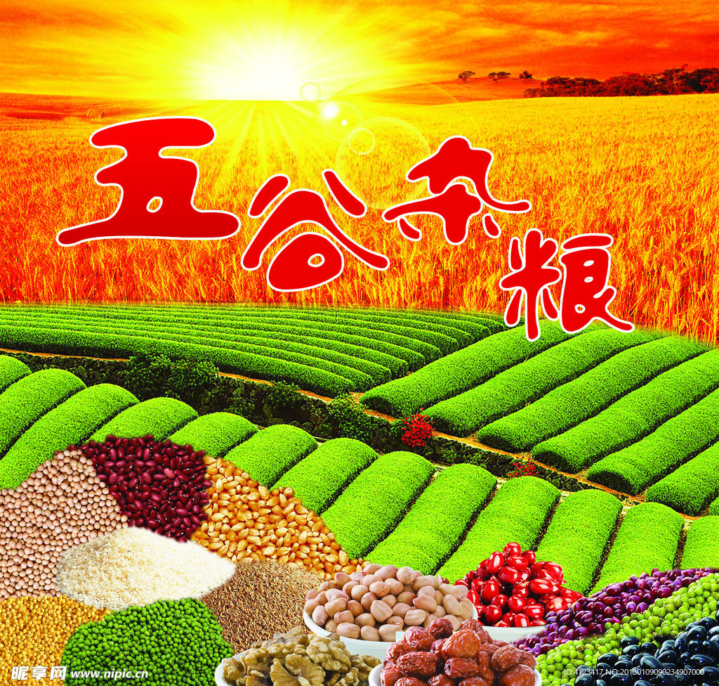 五谷杂粮