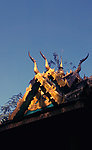 屋顶