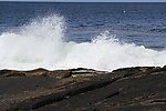 大西洋石头海岸