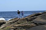 大西洋石头海岸