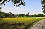 开平碉楼与村落