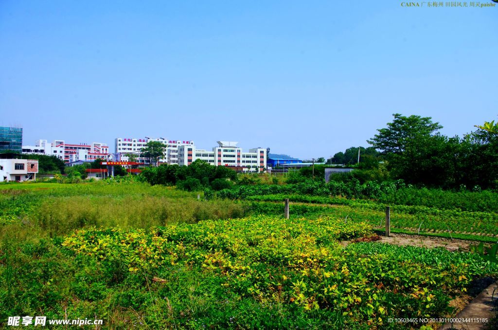 梅州山水 田园风光