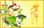 贺新年
