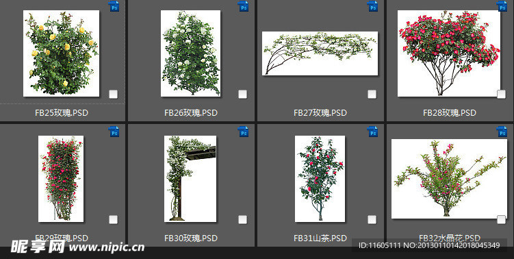 花素材
