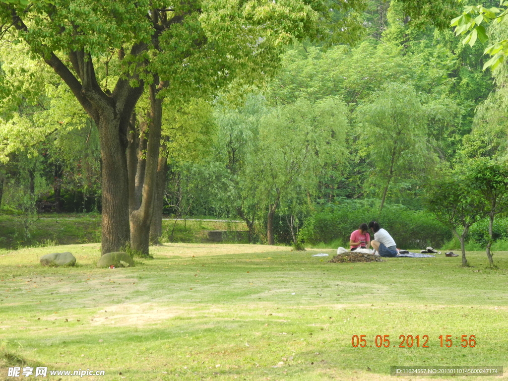 野炊