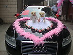 花车
