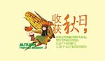 收获