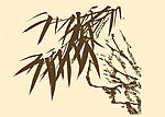 芥子园画谱 竹子